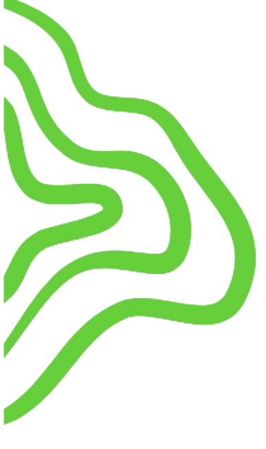 Light Green Overlay