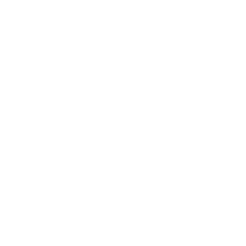 White Line Overlay